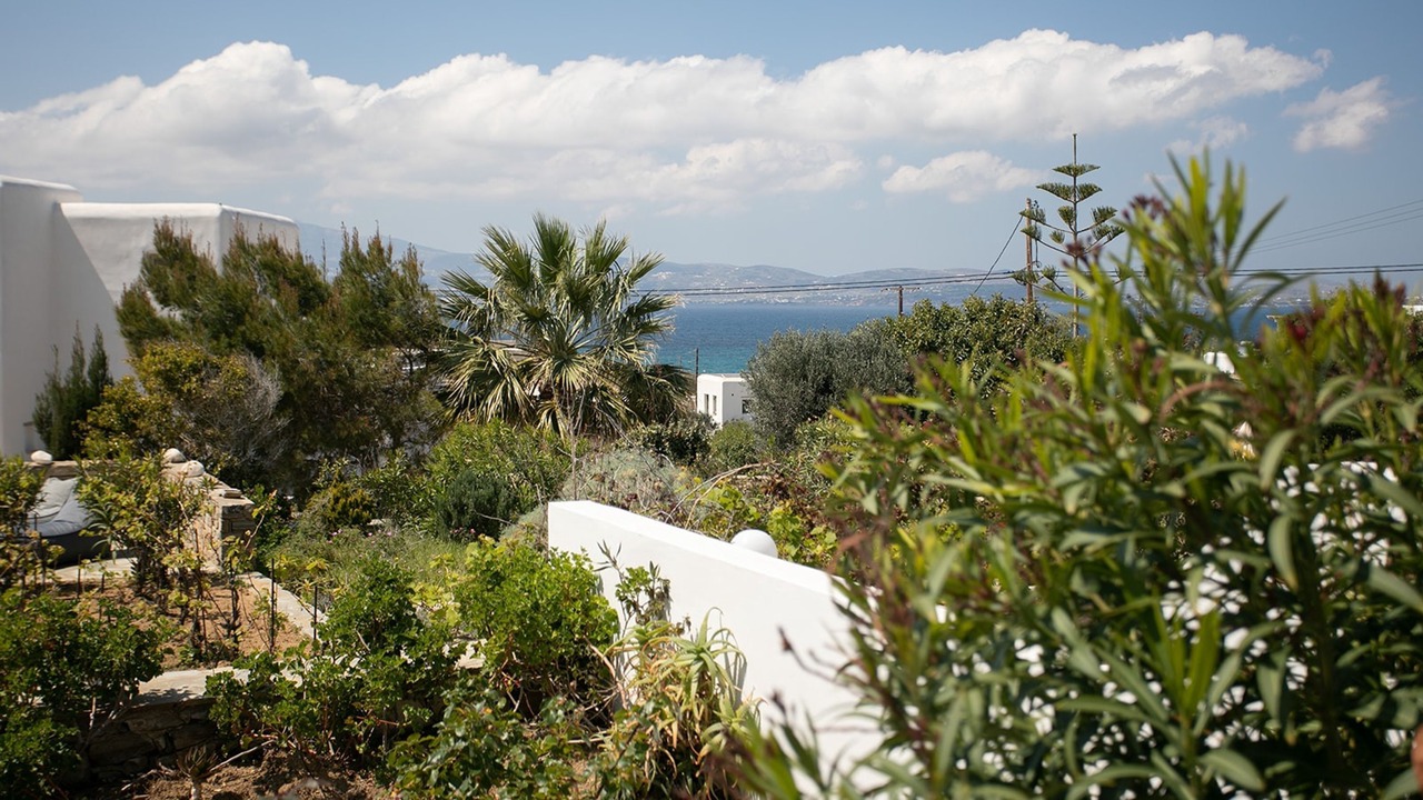 Photo of Outdoor in Stelida