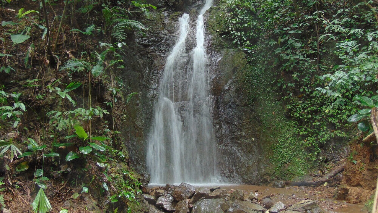 Photo of Others in Parrita
