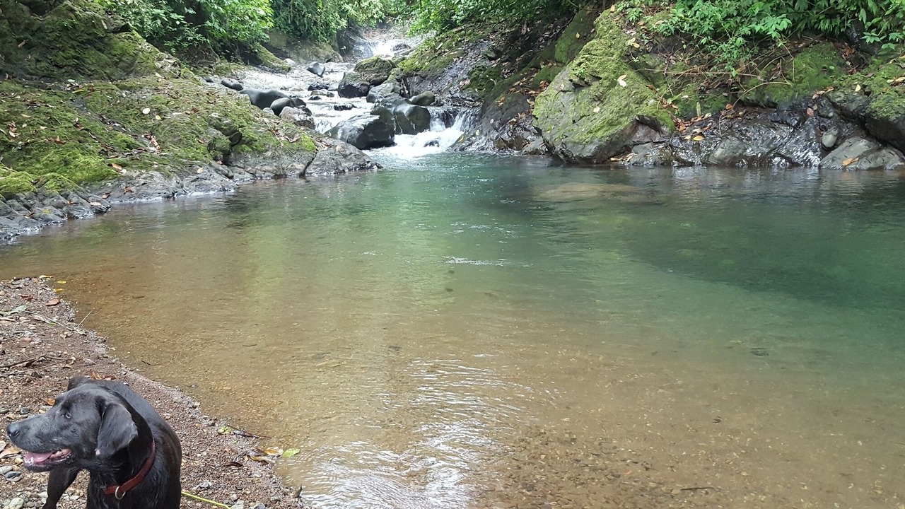 Photo of Others in Parrita