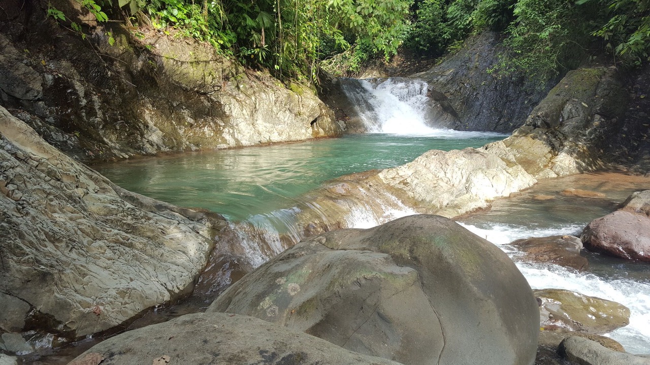 Photo of Others in Parrita