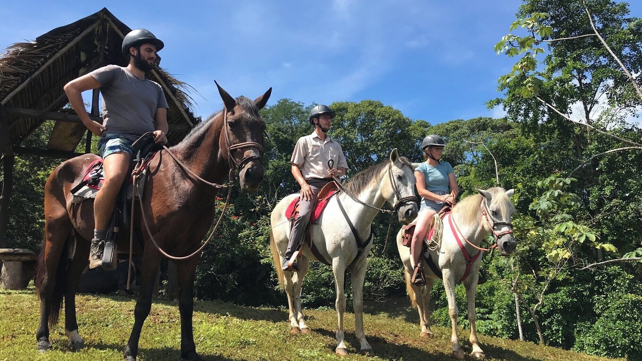 Photo of Others in Parrita