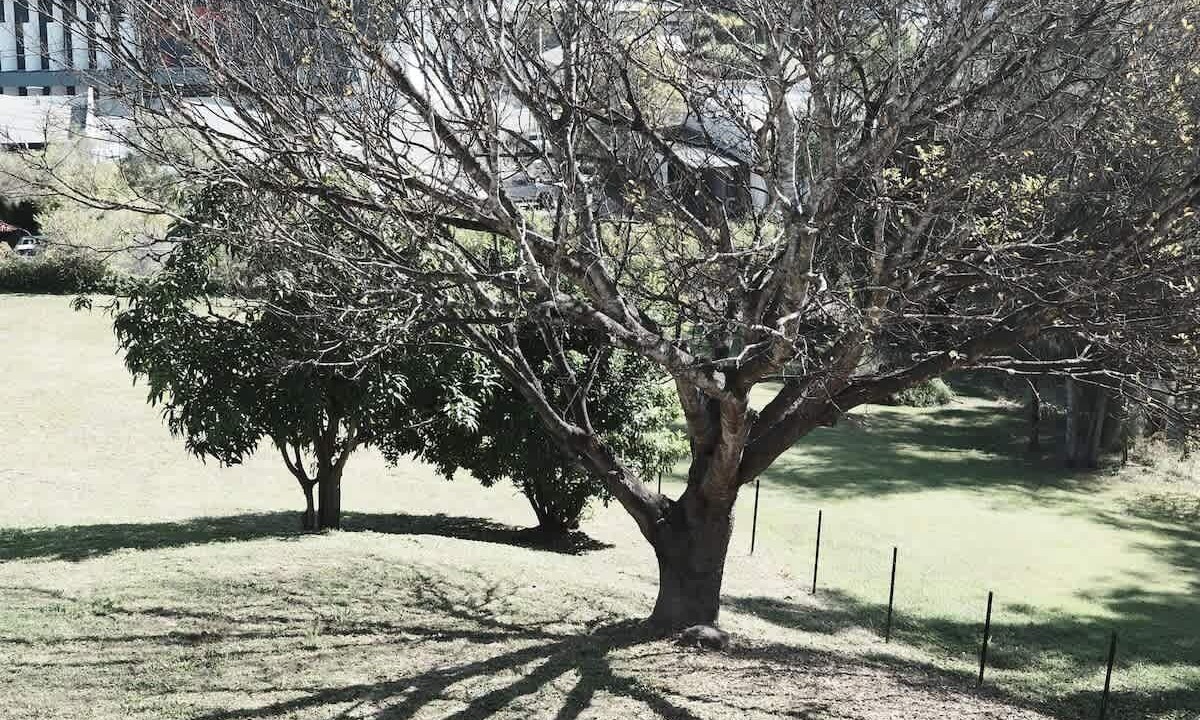 Photo of Outdoor in Brisbane