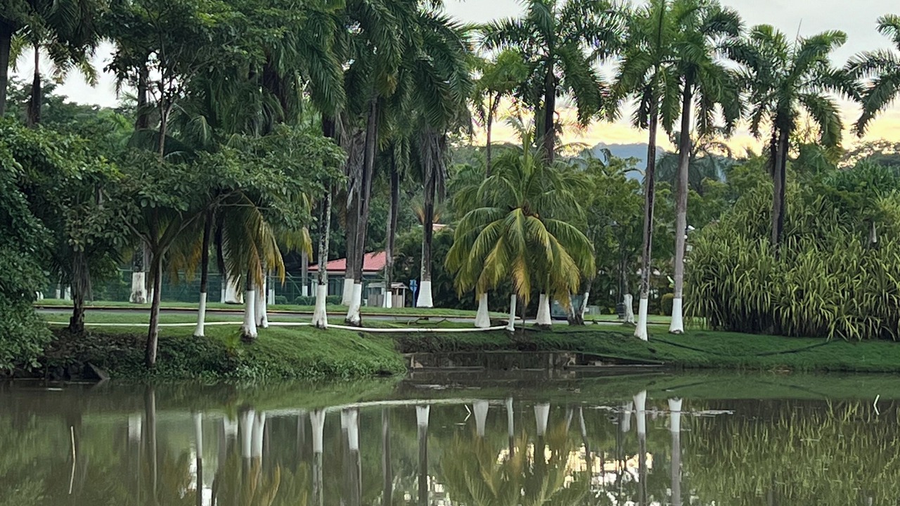 Photo of Others in Tambor