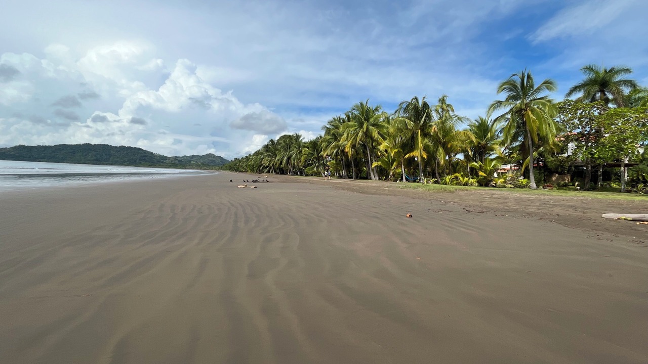 Photo of Others in Tambor