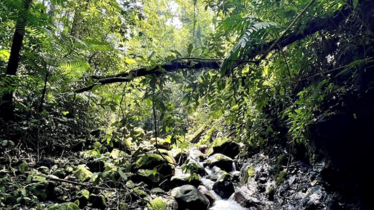 Photo of Others in Rio Cuarto de Grecia