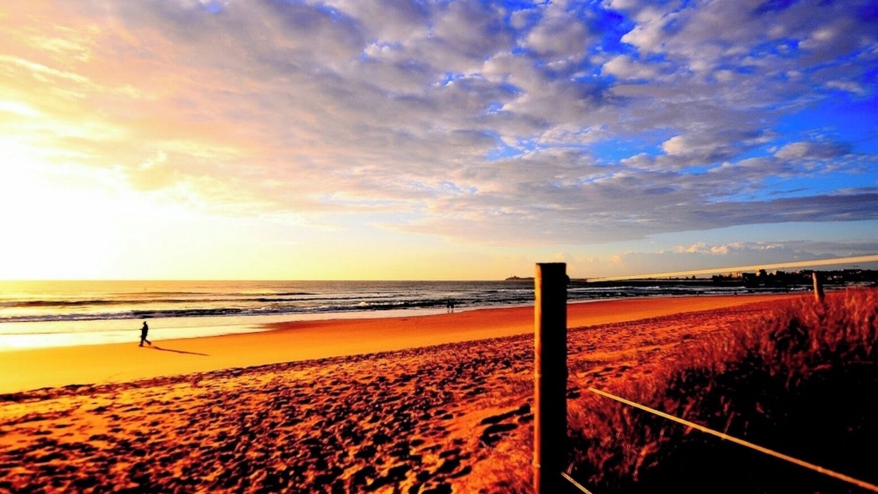 Photo of Others in Sunshine Coast