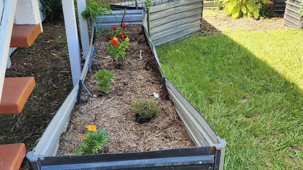 Photo of Outdoor in Beachmere