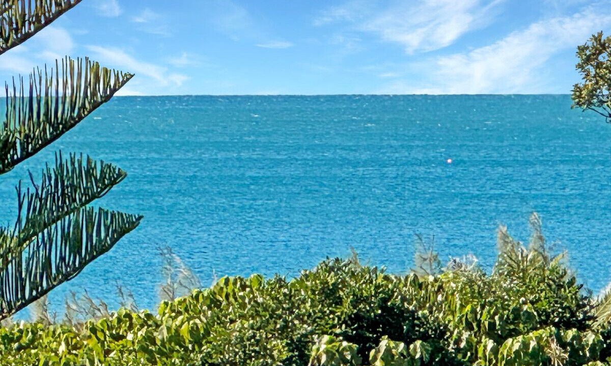 Photo of Others in Sunshine Coast
