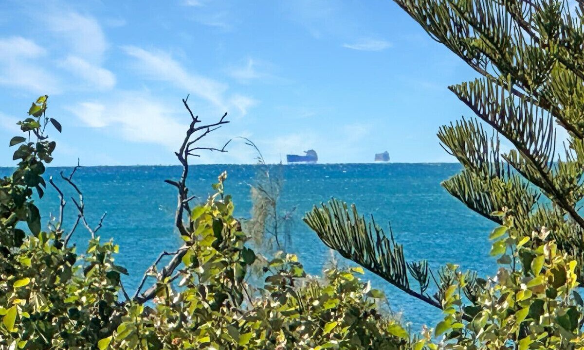 Photo of Others in Sunshine Coast