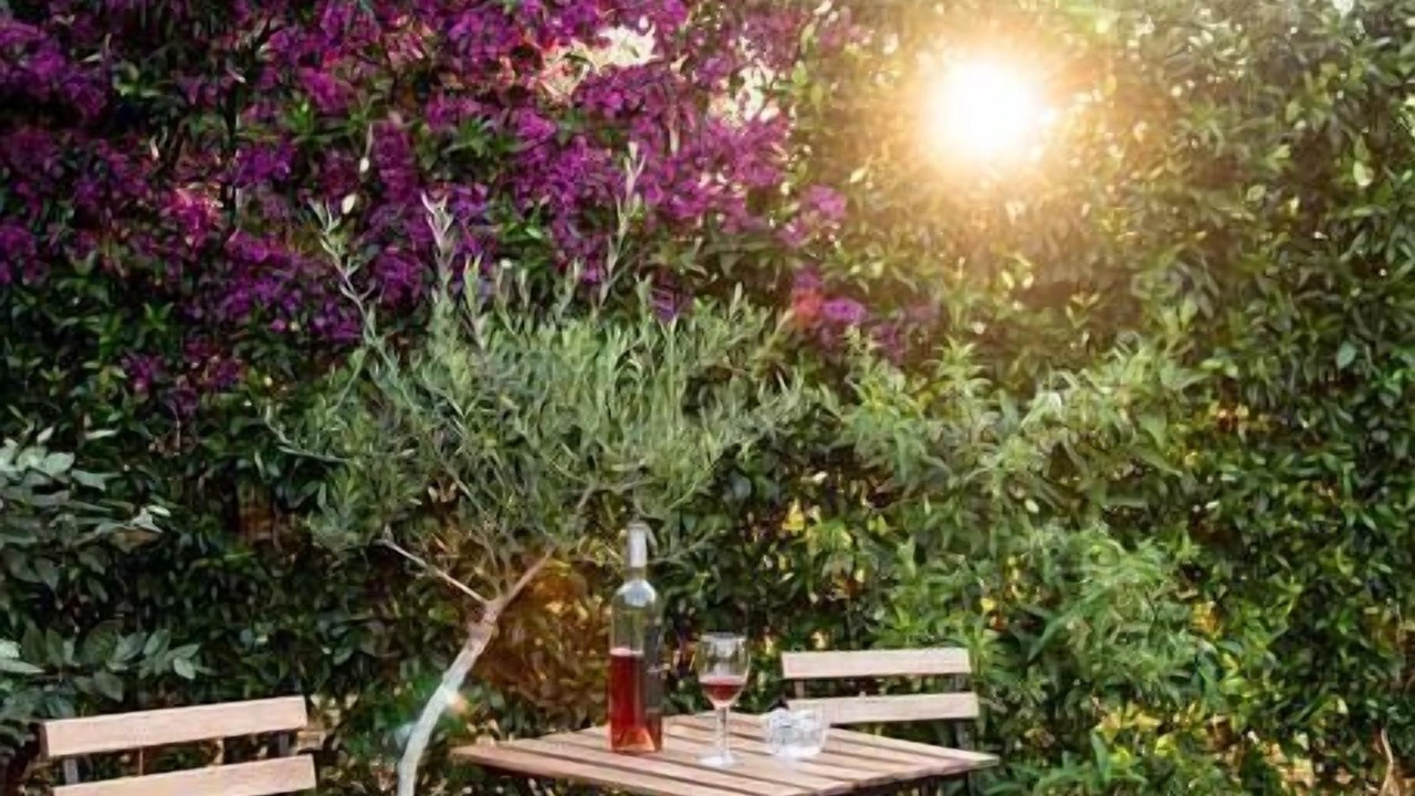 Photo of Outdoor in Kapeli
