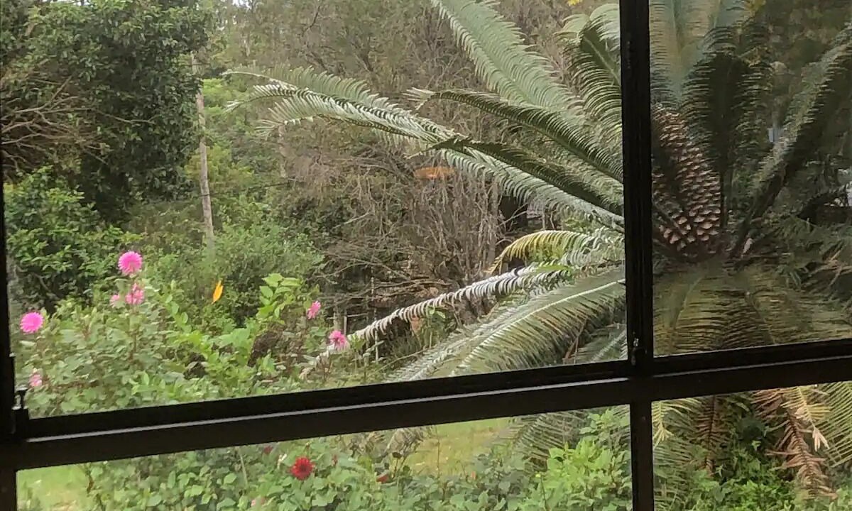 Photo of Others in Mount Tamborine