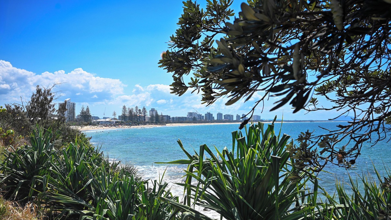 Photo of Others in Sunshine Coast