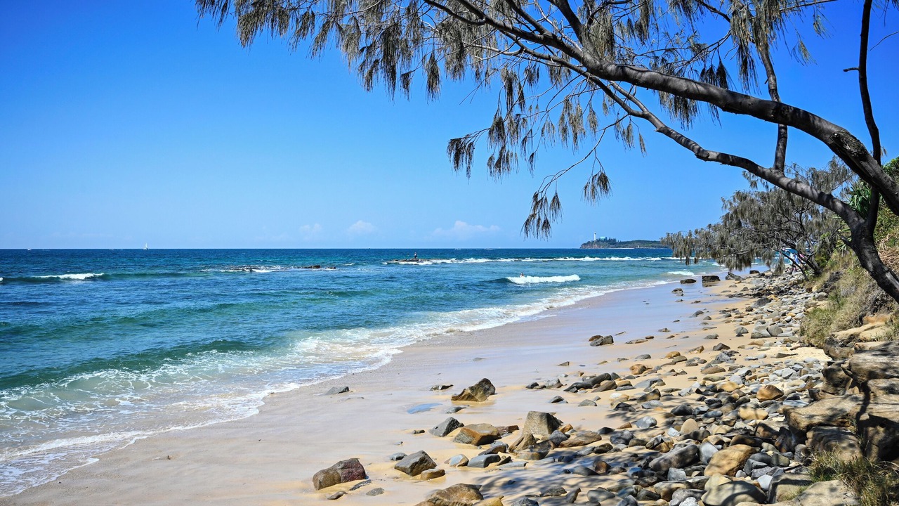 Photo of Others in Sunshine Coast