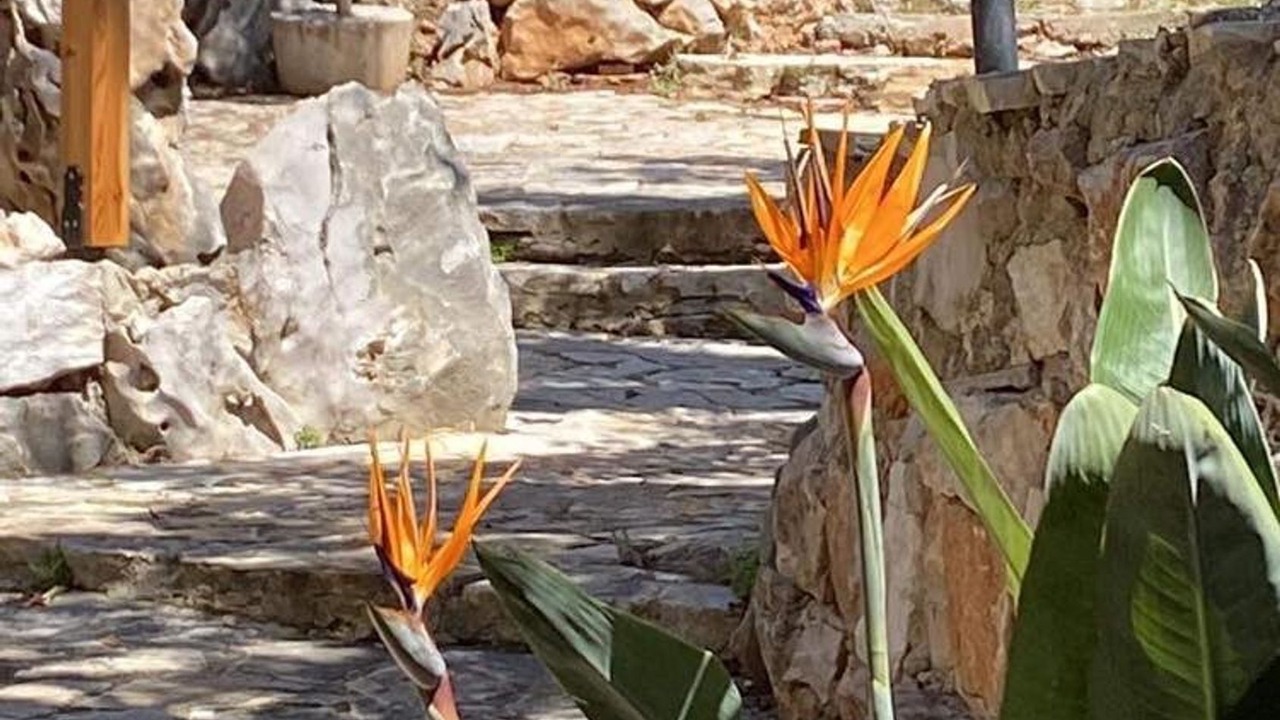 Photo of Outdoor in Kilada