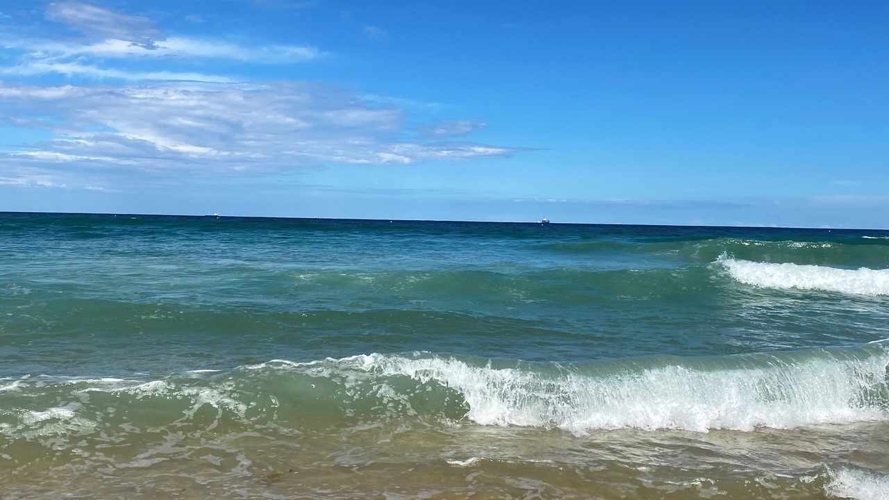 Photo of Others in Sunshine Coast