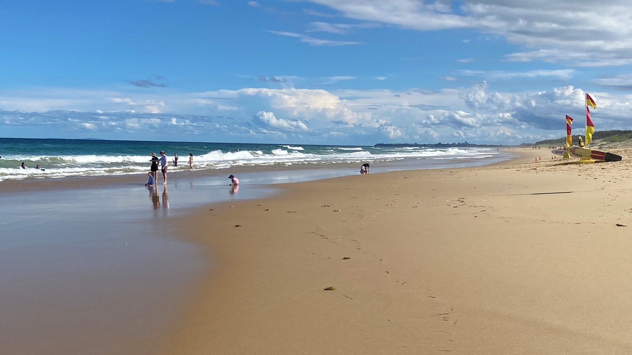 Photo of Others in Sunshine Coast