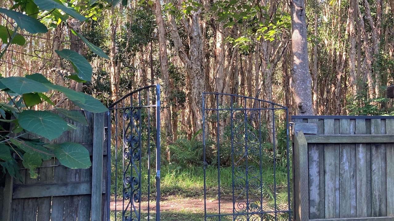 Photo of Outdoor in Yaroomba