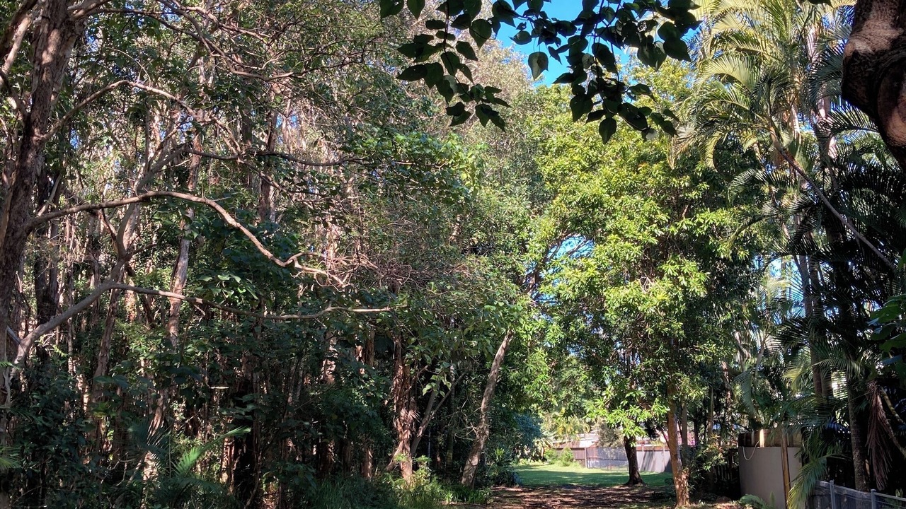 Photo of Others in Yaroomba