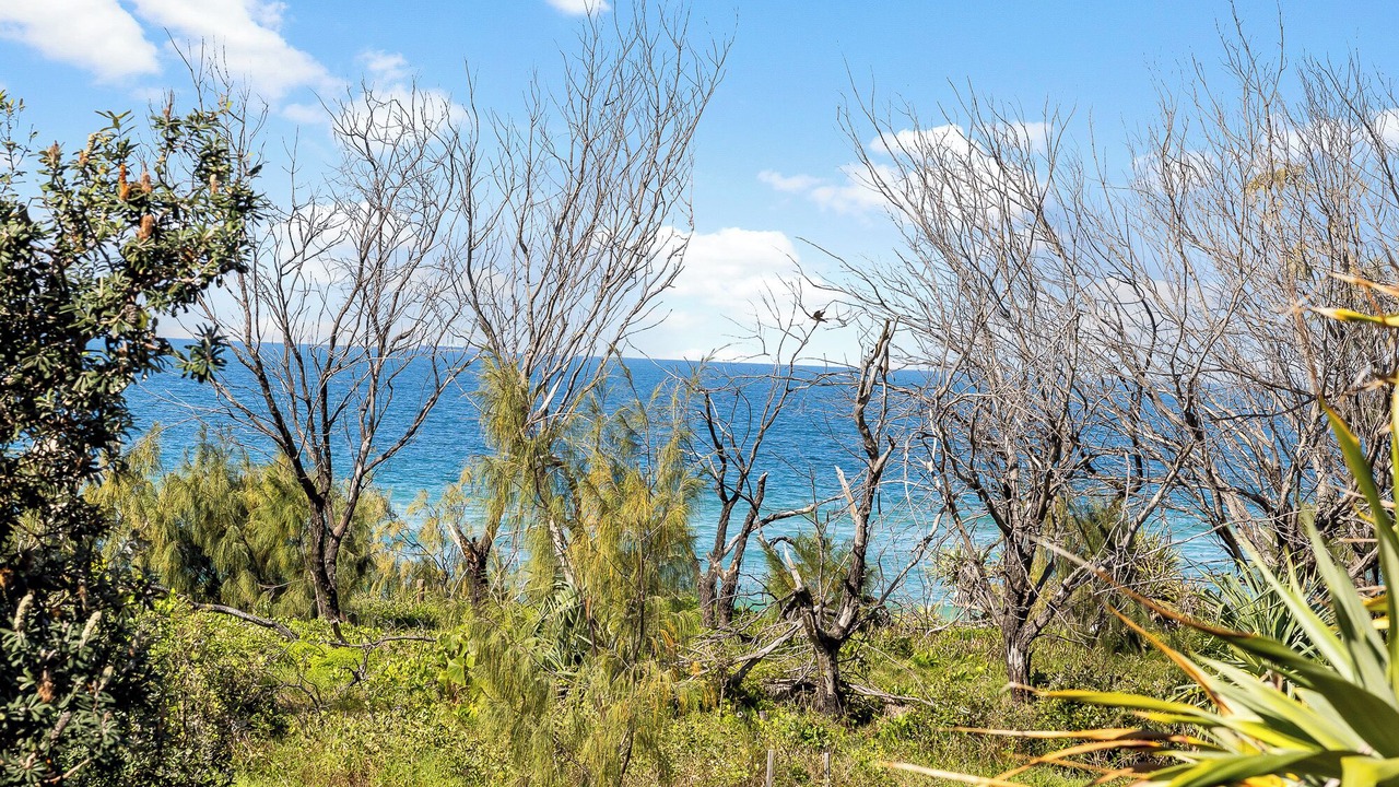 Photo of Others in Sunshine Coast