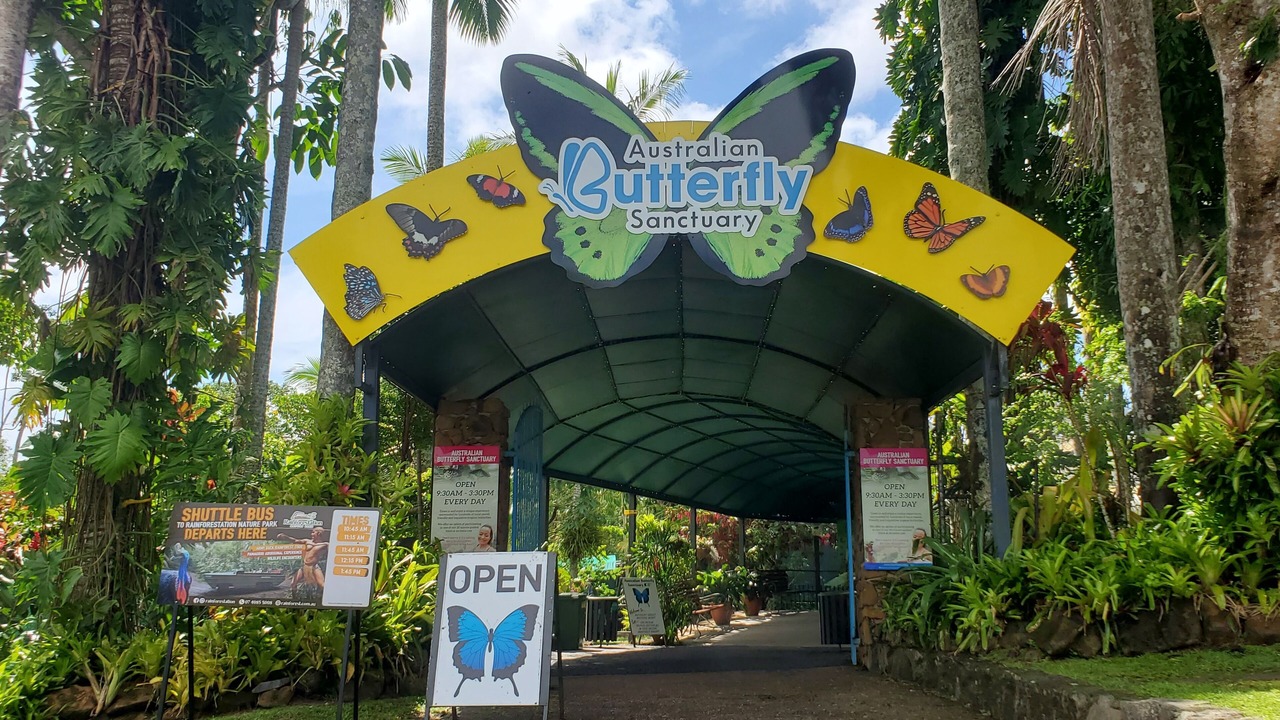 Photo of Others in Kuranda