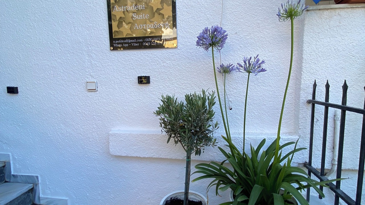 Photo of Outdoor in Nea Potidaia