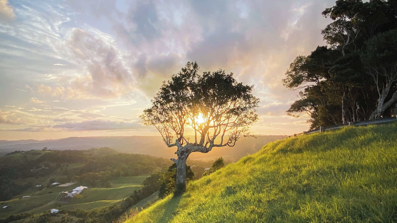Photo of Others in Bald Knob