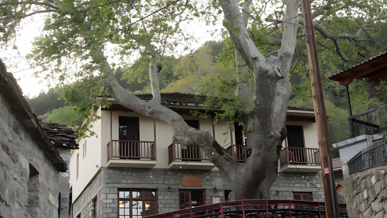 Photo of Outdoor in Pyrsogianni