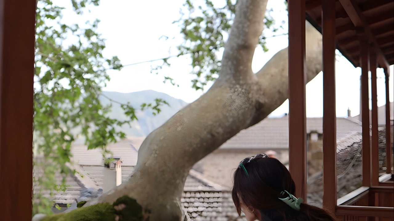 Photo of Outdoor in Pyrsogianni