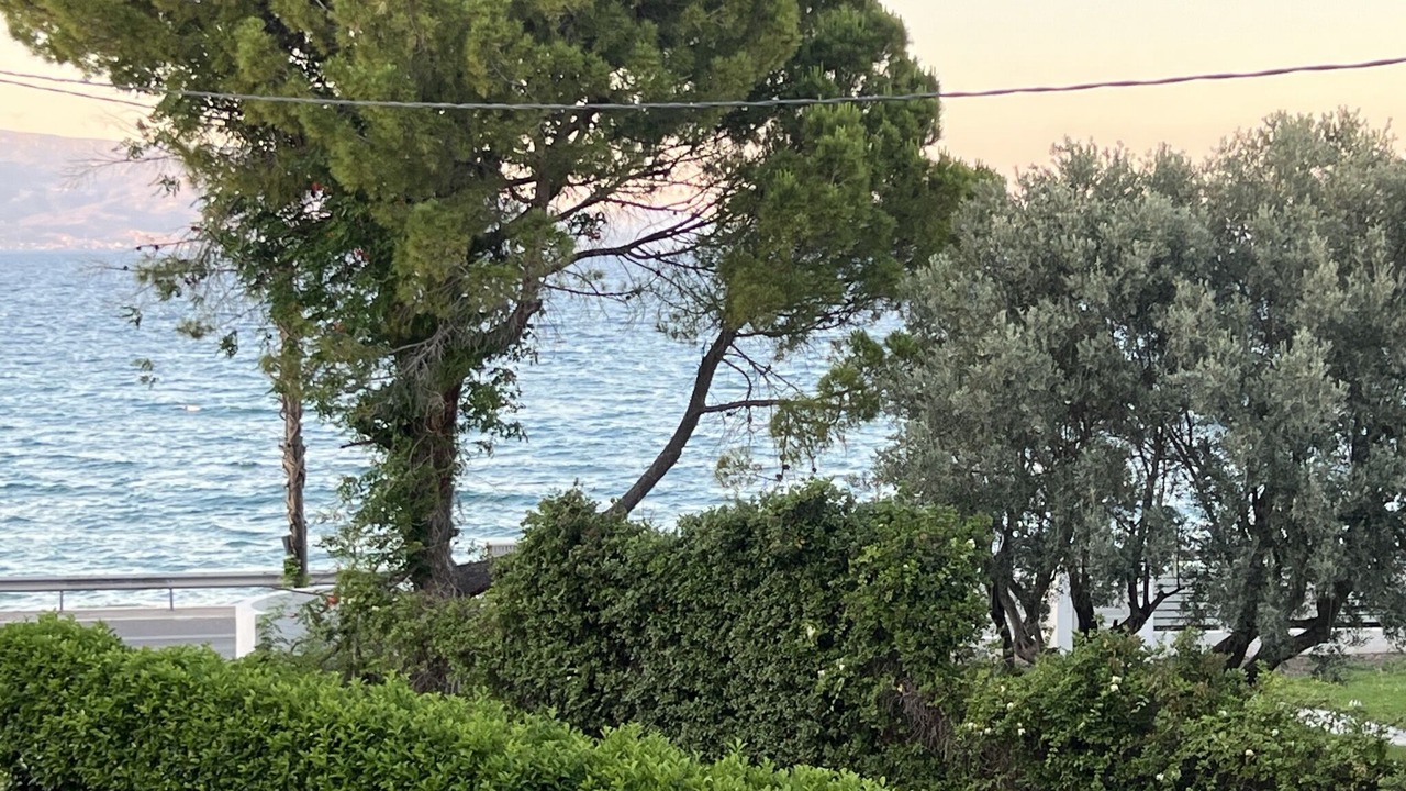 Photo of Outdoor in Oropos