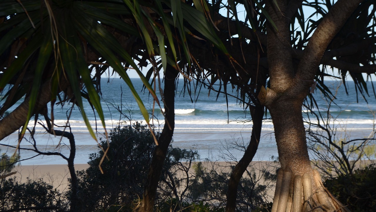 Photo of Others in Noosa North Shore