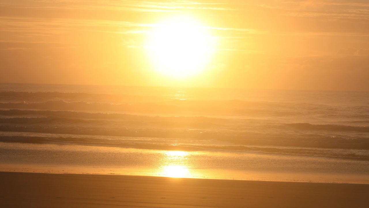 Photo of Others in Noosa North Shore