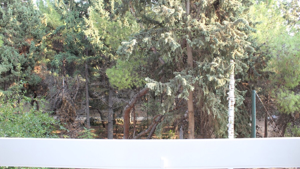 Photo of Others in Ilisia