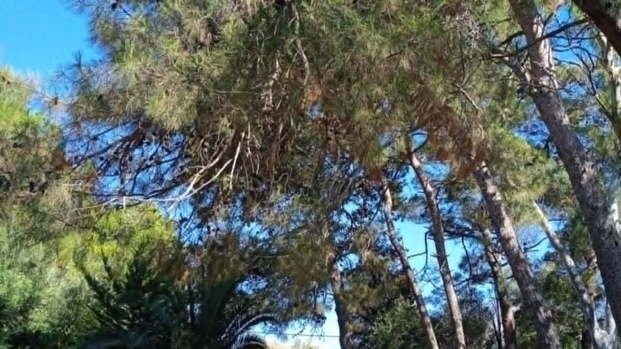 Photo of Outdoor in Kiparissia