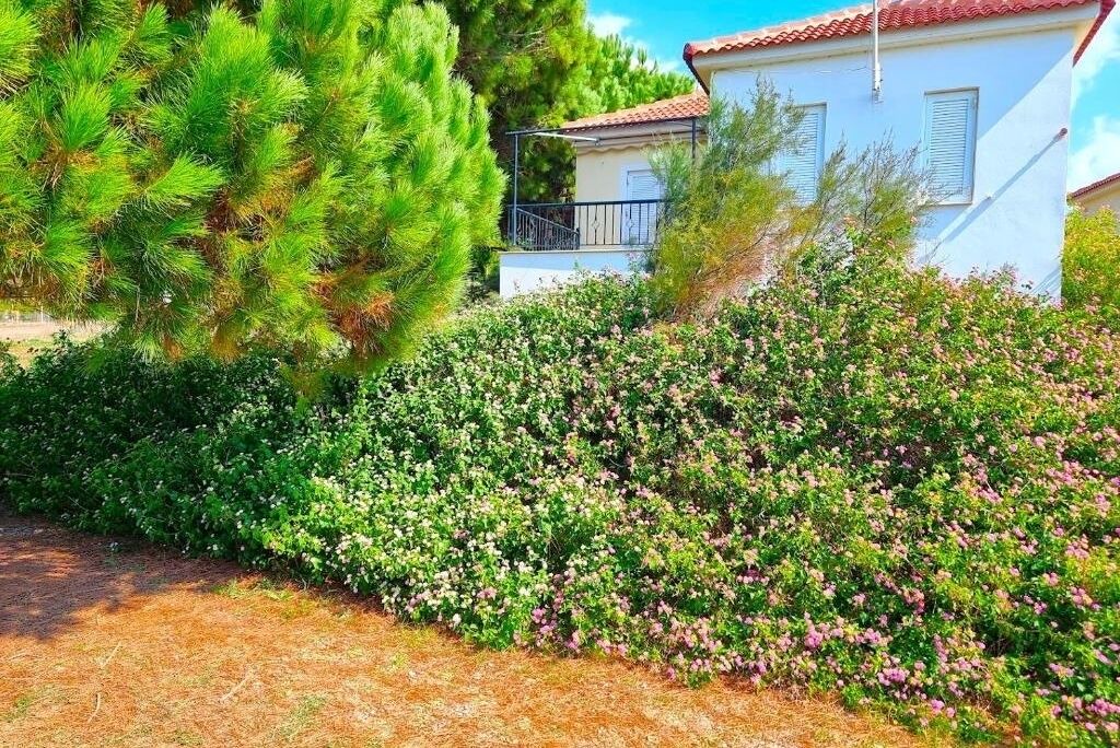 Photo of Outdoor in Pylos-Nestoras