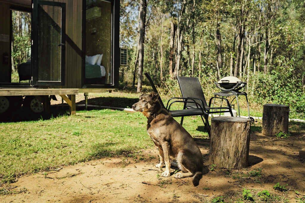 Photo of Outdoor in Jimboomba