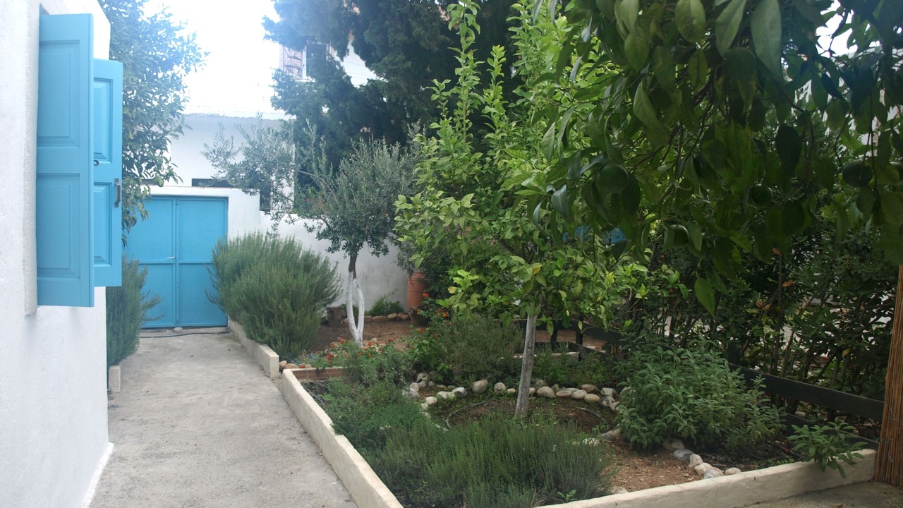 Photo of Outdoor in Archangelos