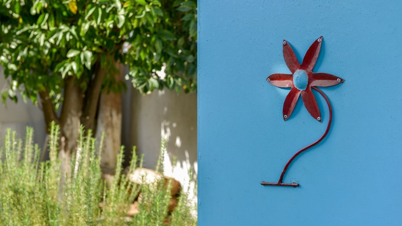 Photo of Outdoor in Archangelos