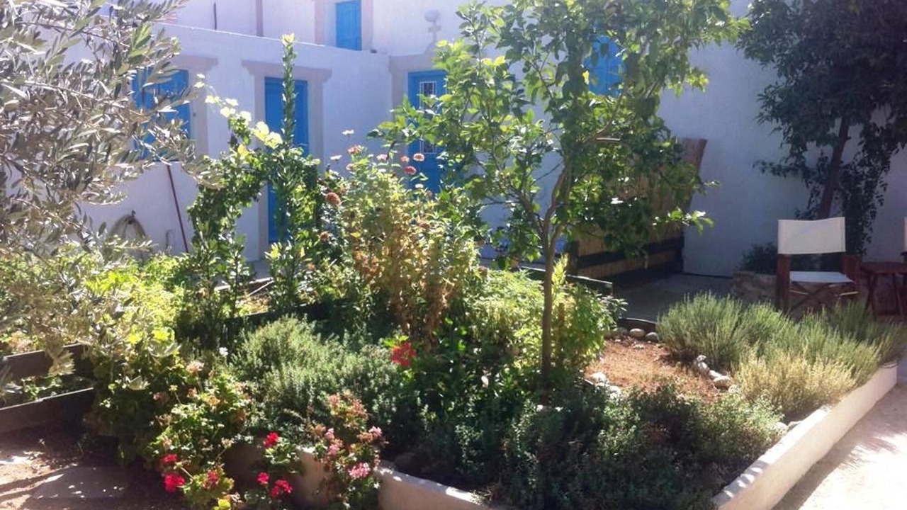 Photo of Outdoor in Archangelos