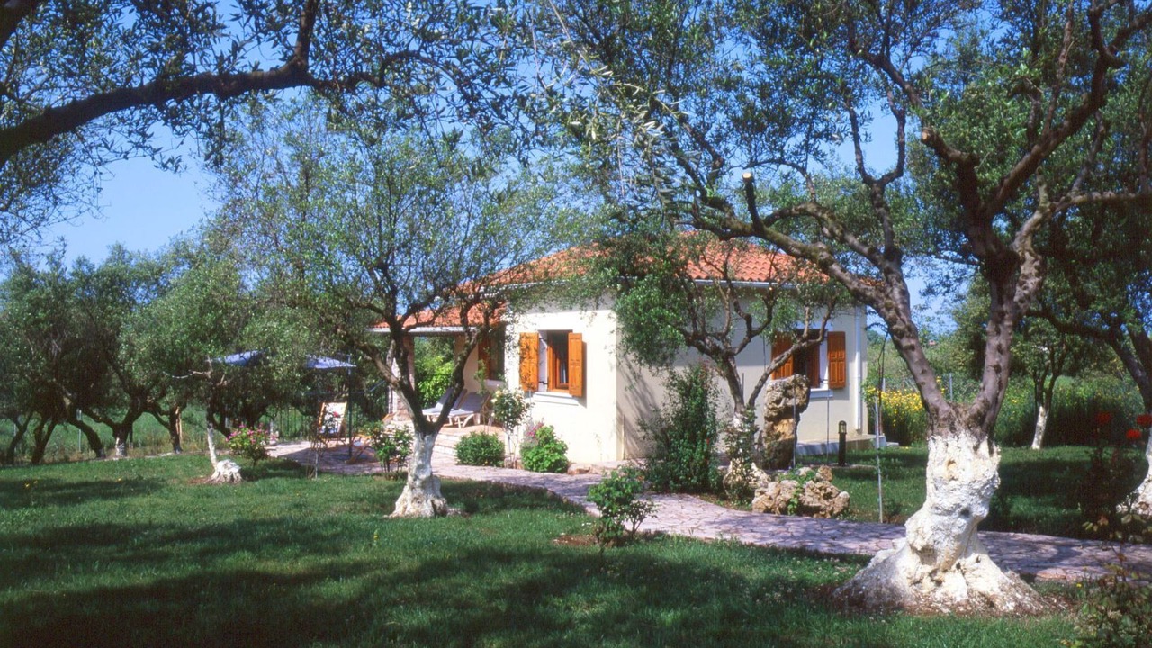 Photo of Outdoor in Skafidia