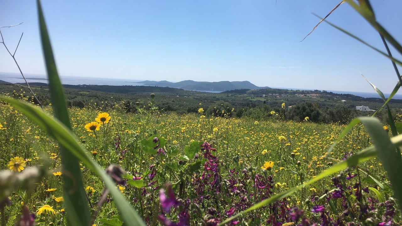 Photo of Others in Pylos-Nestoras