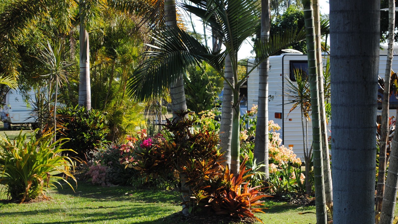 Photo of Outdoor in Berserker