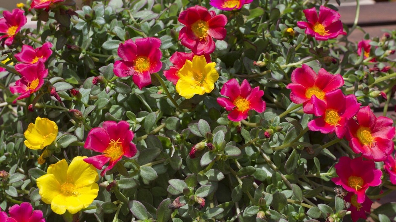 Photo of Outdoor in Preveza
