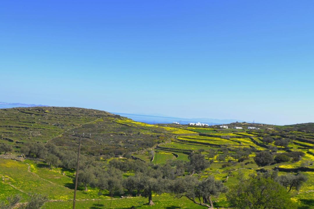 Photo of Outdoor in Platis Gialos