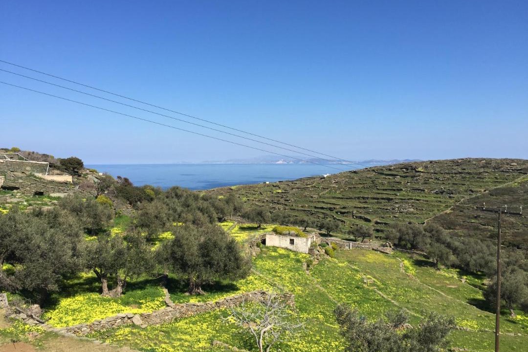 Photo of Outdoor in Platis Gialos