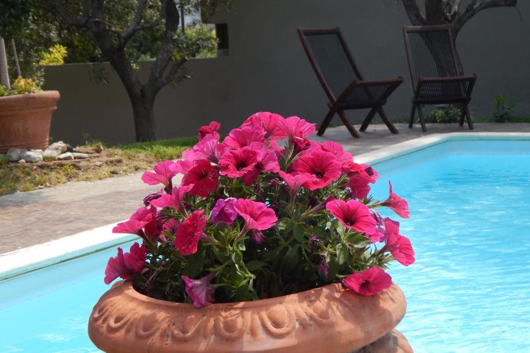 Photo of Outdoor in Rafina