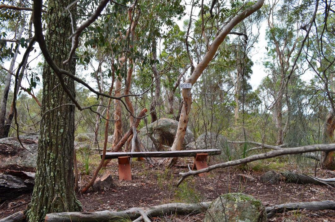 Photo of Others in Stanthorpe