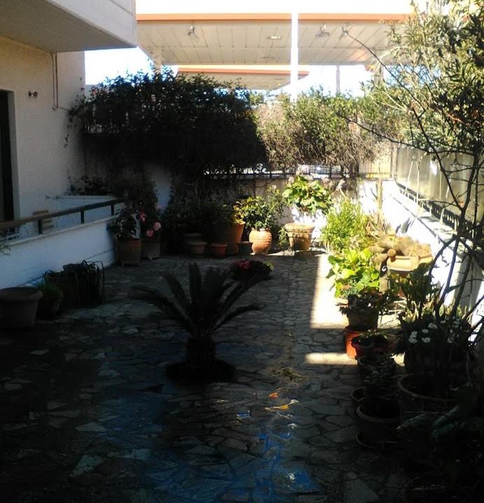Photo of Others in Amarinthos