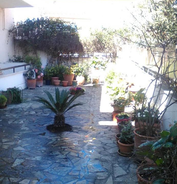 Photo of Others in Amarinthos