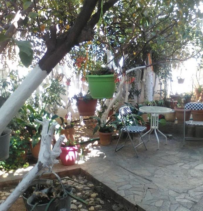 Photo of Others in Amarinthos