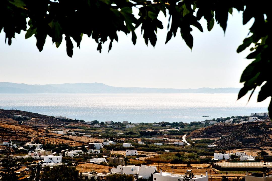 Photo of Others in Tinos Town